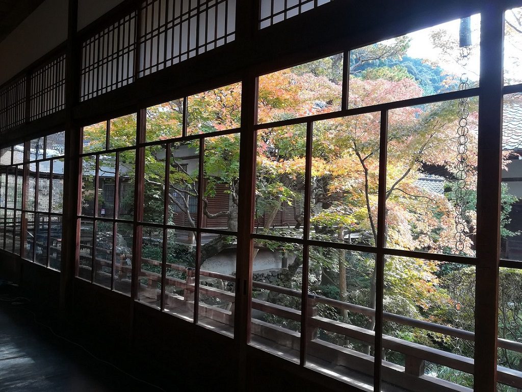 紅葉，永観堂,京都
