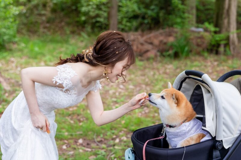 服部緑地　結婚式